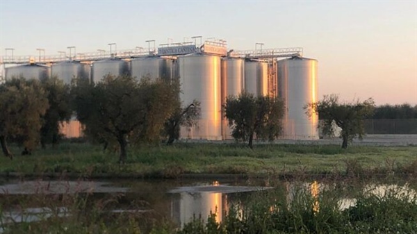 CONFCOOPERATIVE, SOLIDARIETÀ ALL&rsquo;ANTICA CANTINA SOCIALE DI SAN SEVERO PER IL BRUTTO EPISODIO DI SABOTAGGIO
